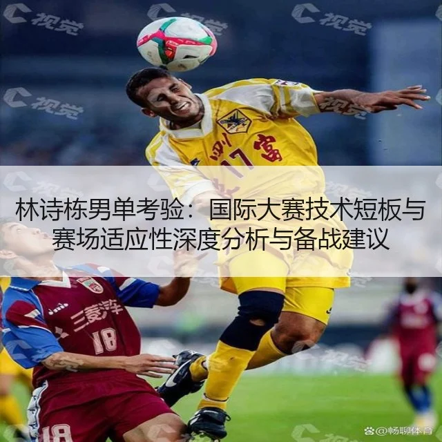 林诗栋男单考验：国际大赛技术短板与赛场适应性深度分析与备战建议